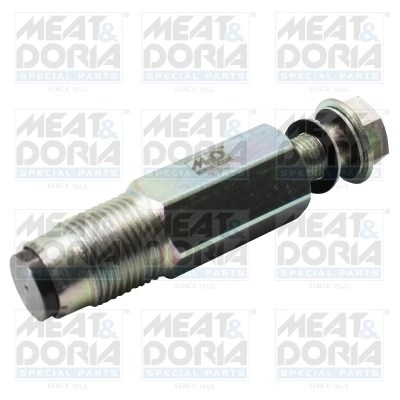 Pressure Limiting Valve, common rail system